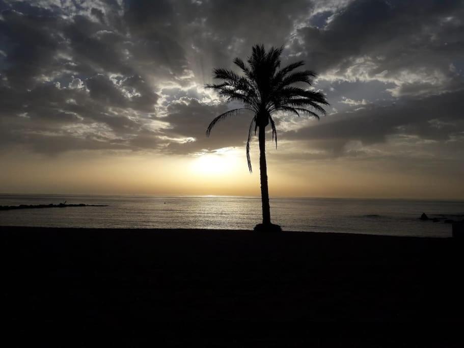 Central Estepona 3 Bed Apt With Pool And Parking Exteriör bild